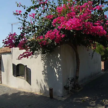 La Cerza By Compass Cultura Holiday home Catania